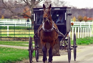 amish health insurance