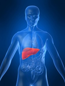 liver transplants