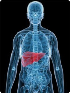 Improve liver health